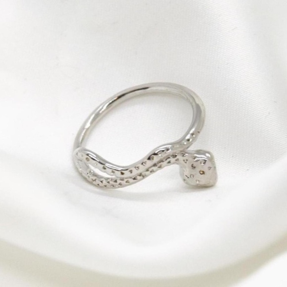 Minimal Snake Ring